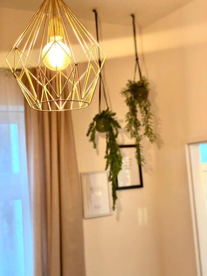 Amazonian Jungle Apartment In 维也纳 外观 照片